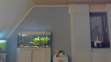 ronhill13  07-10-2021 Recorded Video Cam